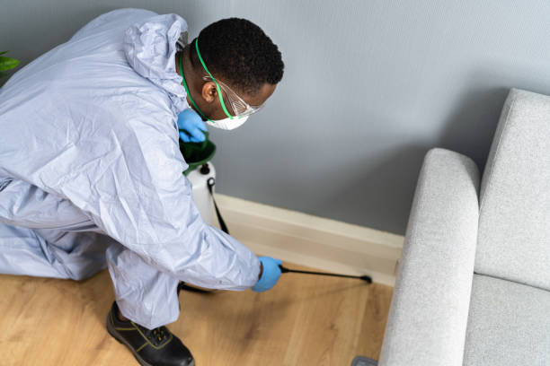 Professional Pest Control in Fairfield, IL